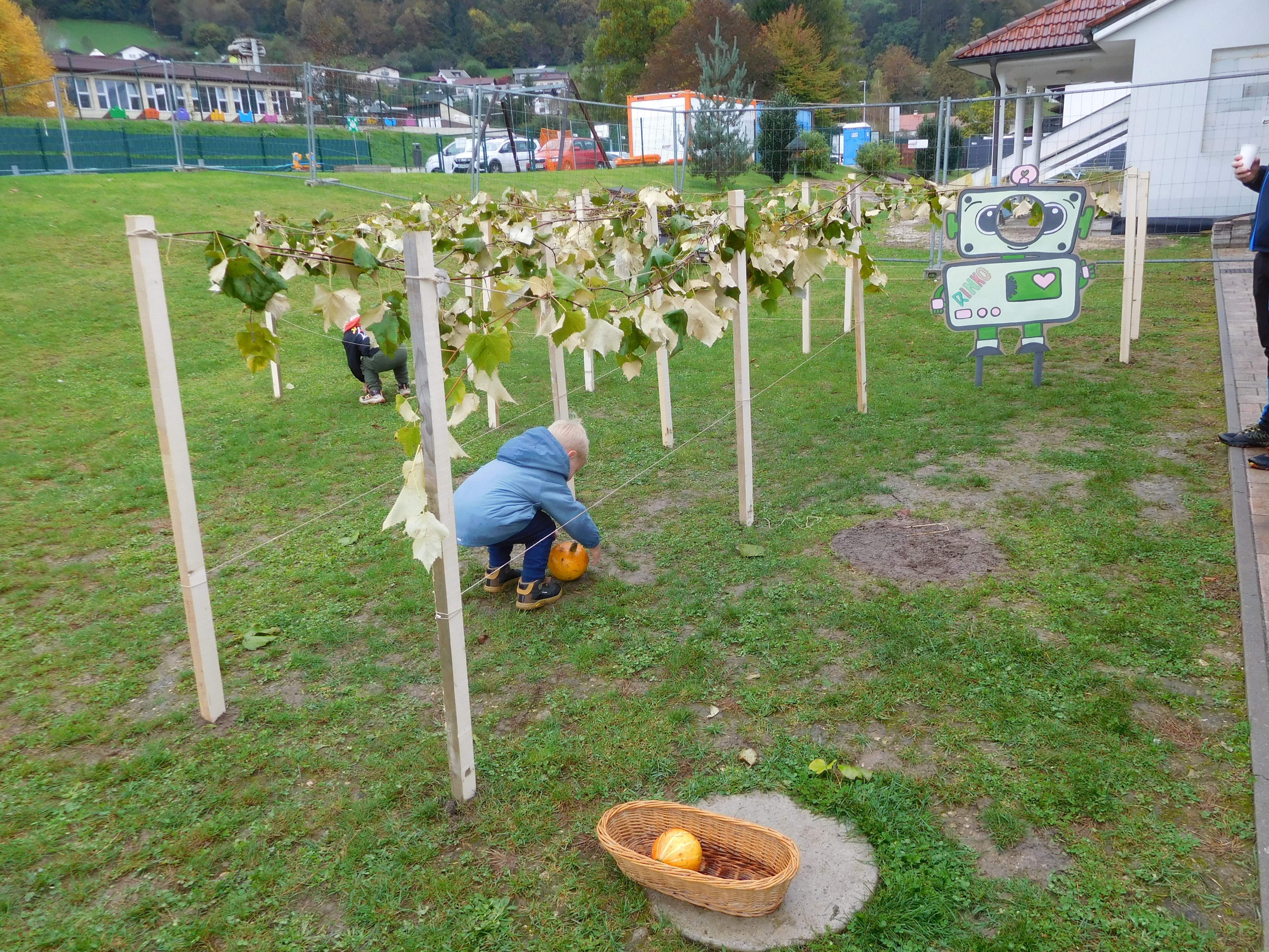 TEDEN DEJAVNOSTI PROJEKTA RINKO