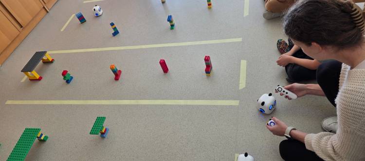 TEDEN DEJAVNOSTI PROJEKTA RINKO